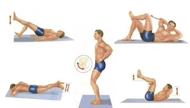 Illustrated core and pelvic exercises used to support pelvic floor strength
